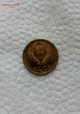 вот - 1740409661220[1]
