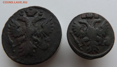 денга и полушка 1735 года До 9.03.2025 в 22.00 мск - DSCN4914.JPG