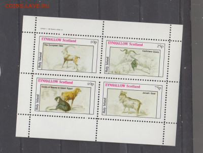 Шотландия 1982 фауна 4м до 12 03 - 74