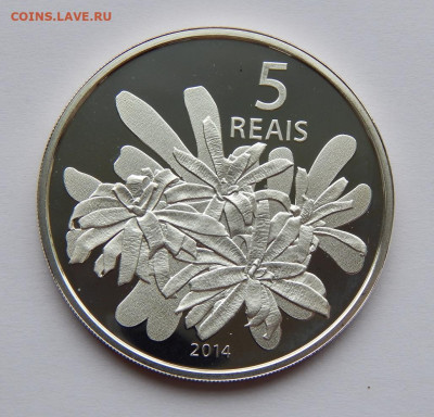 5 реалов 2014 года. Гребной спорт - DSCN8257.JPG