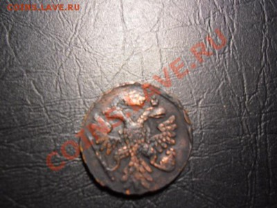Денга 1741 - CIMG0415.JPG