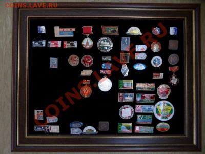 ТАКИЕ ЕСТЬ. - SAM_6161.JPG