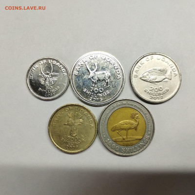 5 монет Уганды, до 12.03.25г. - IMG_20250306_104758