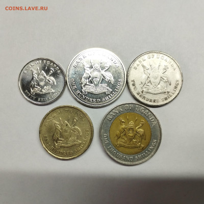 5 монет Уганды, до 12.03.25г. - IMG_20250306_104822