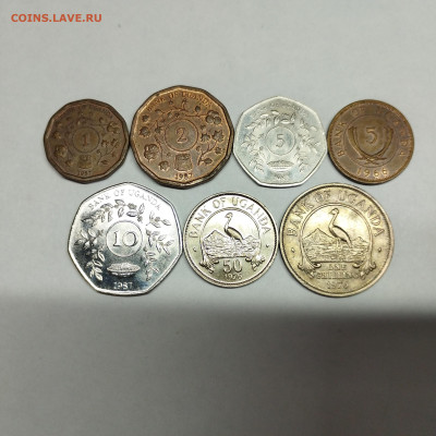 7 монет Уганды, до 12.03.25г. - IMG_20250306_104829