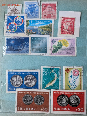 Альбом марок на обмен - PXL_20250304_115112860