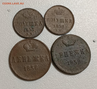 Полушки и денежки 1856-58 4 монеты до 16.04 - IMG_20250310_181721
