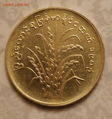 10 пья Бирма 15.03.25 - IMG_20250310_212907