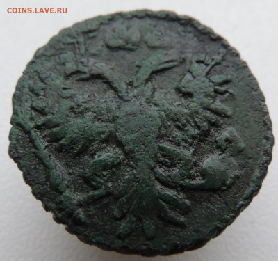 полушка 1731 года До 16.03.2025 в 22.00 мск - DSCN4926.JPG