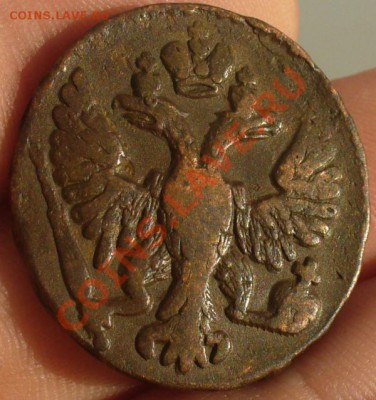 Денга 1749 года До 11.02.12 в 22.00 по мск - P1200168.JPG
