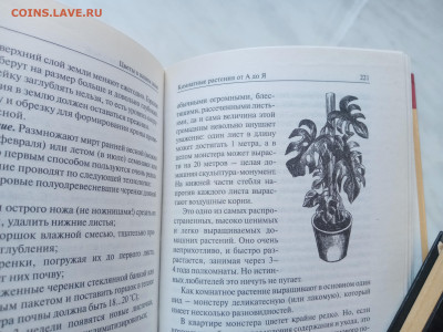 Цветы в вашем доме. До 19.03.25 в 22:00 по мск - IMG_20250313_133136