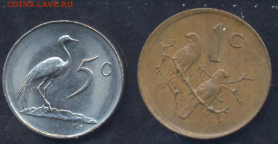 ЮАР 5 центов 1983 г.17.03.2025 г. 22 -00 МСК. - ЮАР1