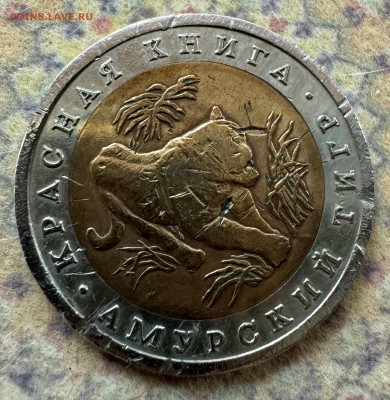 10р КК- 1992г. Амурский тигр   до 21.03.25  22-00 - КК-1992