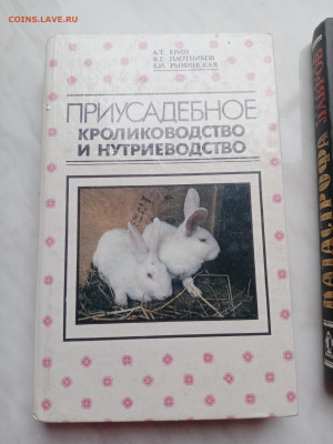 Приусадебное кроликовод твой и нутриеводство. - IMG_20250317_165148