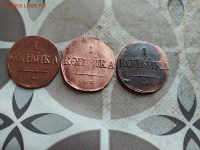 1 копейка 1831 СМ, 3 штуки до 20.03.2025 - 1831 (81)
