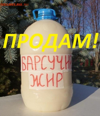 БАРСУЧИЙ ЖИР от охотника - 2 — копия (2) — копия