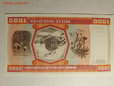 Мавритания 1000 угия 1981 г. UNC до 24,03,25 по МСК 22-00 - Мавр-1000-9