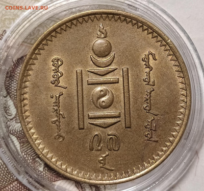 1 копейка 1934 Тува (Тыва) оценка-интерес - IMG_20250319_014645
