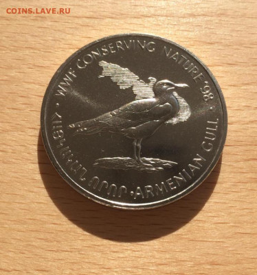 Армения 100 драм драмов 1998 Армянская Чайка Птицы WWF - armenija_100_dram_dramov_1998_armjanskaja_chajka_pticy_wwf_fauna_fond_dikoj_prirody_shajba_redkost