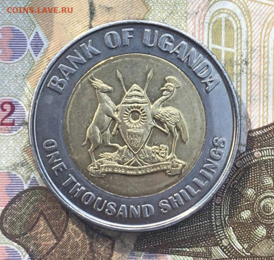 Уганда 1000 шиллингов 2012 Журавль Биметалл до 25.03 в 22.00 - IMG_E6863.JPG