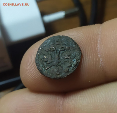Врп полушка 1720. Год буквами. Аверс к реверсу 180 гр. - IMG_20250319_211815