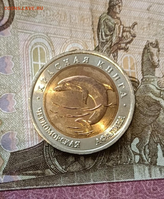 Красная книга. 50 рублей 1993г. Афалина до 22.03 - 30