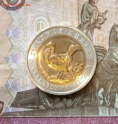 Красная книга. 50 рублей 1993г. Тетерев до 22.03 - 36