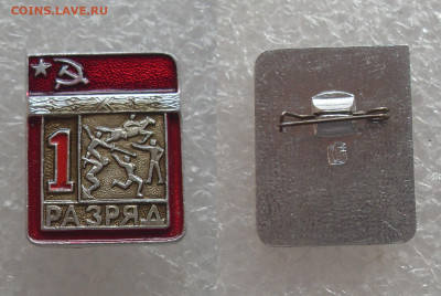 шт - SDC19812.JPG