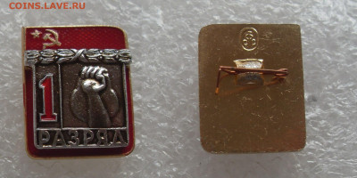 шт - SDC19800.JPG