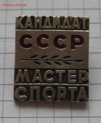 шт - SDC19062.JPG
