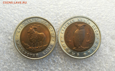 5 руб 1991г КК козёл и филин до 25.03 в 22-00 - IMG_20250322_185502