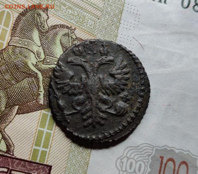 полушка 1731 до 25 03 - image (7)