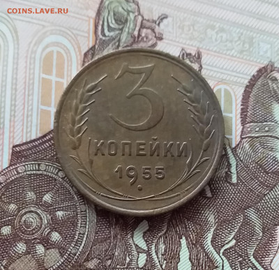 3 копейки 1955. До 27.02.25 в 22.00 - 20250323_145021