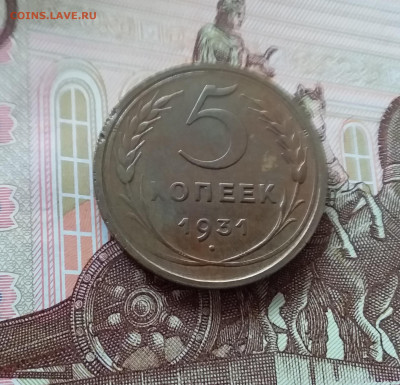 5 копеек 1931. До 27.03.25 в 22.00 - 20250323_154417