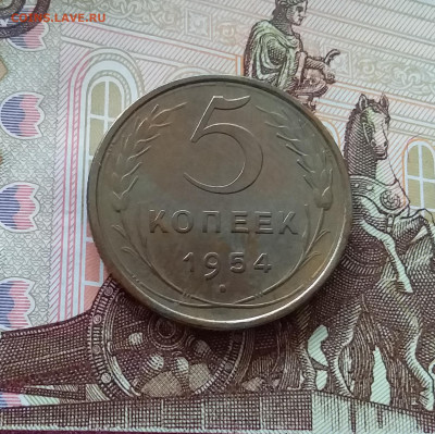 5 копеек 1954. До 27.03.25 в 22.00 - 20250323_165501