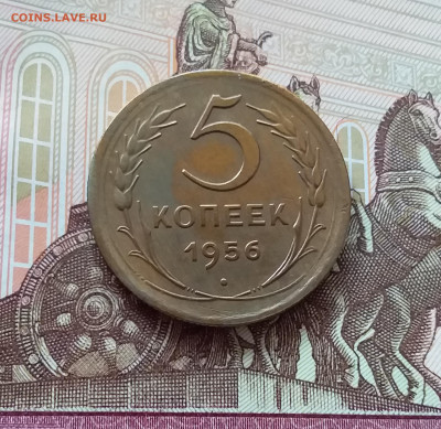 5 копеек 1956. До 27.03.25 в 22.00 - 20250323_165721