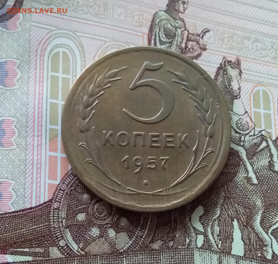 5 копеек 1957. До 27.03.25 в 22.00 - 20250323_165950