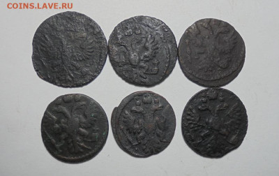 Полушки 1730-37 гг. 6 шт.(Разные). До 27.03.2025 - 02.JPG