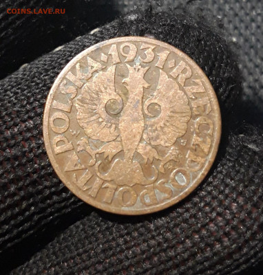 ПОЛЬША 5 ГРОШЕЙ 1931 года До 30.03 - 20250311_202758