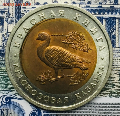 10 руб  1992 Л М Д   Казарка двойная вырубка К - IMG_E3838.JPG