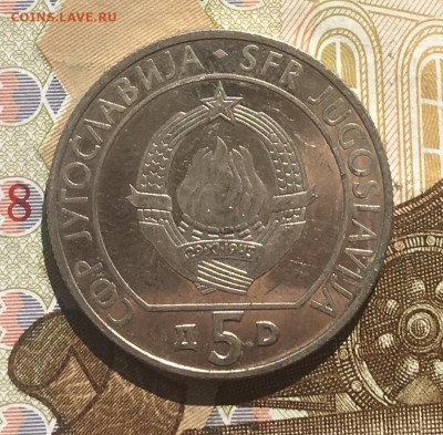Югославия 5 динар 1990 Шахматы до 30.03 в 22.00 - IMG_E7295.JPG