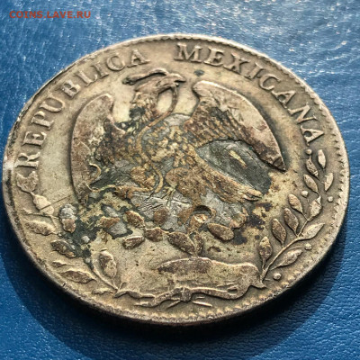 Мексика 8 реалов 1877, до 31.03.2025. - IMG-20250325-WA0009