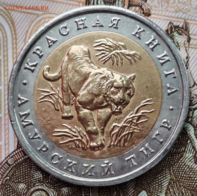 КК 10 рублей 1992 амурский тигр. До 28.03.25 в 22:00 мск. - IMG-20250317-WA0029