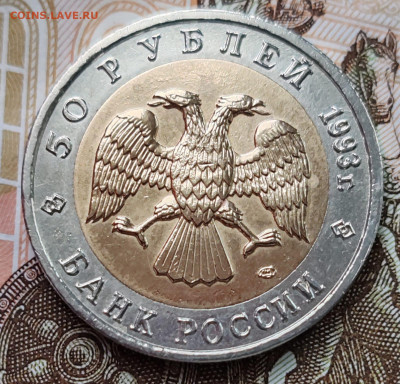 КК 50 рублей 1993 аист. До 28.03.25 в 22:00 мск. - IMG-20250317-WA0026