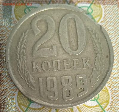 20 коп. 1989 г. выкус до 01.04.25 - IMG_20250121_140130_1