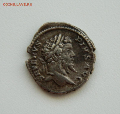 Др. Рим, Денарий Септимий Север 205 г. С рубля! до 01.04.25 - DSCN5426.JPG