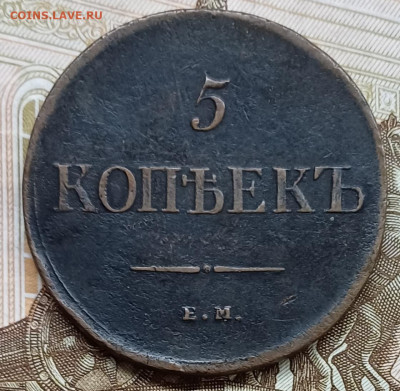 5 копеек 1835 ЕМ ФХ До 02.04.25 - 20250327_223859