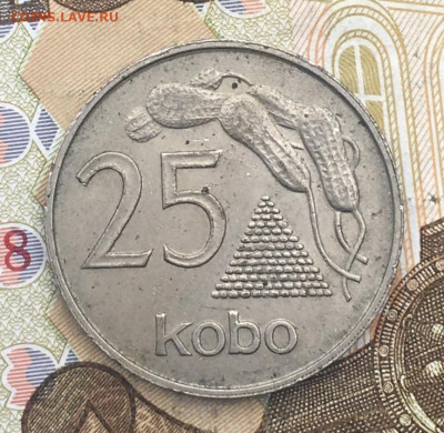 Нигерия 25 кобо 1975 до 02.04.2025 в 22.00 - IMG_E7668.JPG