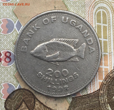 Уганда 200 шиллингов 1998 до 02.04.2025 в 22.00 - IMG_E7680.JPG