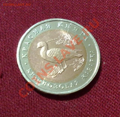 10р Краснозобая казарка UNC (Красная книга): РАСКОЛ+СМЕЩЕНИЕ - Безымянный